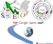 ((((examoney seo service))))