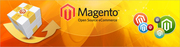 magento development company