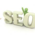 SEO Expert in USA,  White hat seo Expert