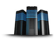 Stable WWW Web Hosting