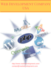 Web Development Company in USA - Hire Best Web Developers