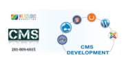 CMS development  Houston