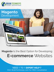 Magento Website Development company - Brain Technosys