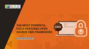 CMS development Service Houston