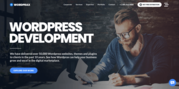 Wordpress Theme Development