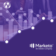 Marketo Consulting