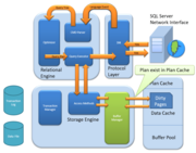 Oracle Database and SQL-Tosska Technologies