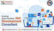 Hire .Net Development Consultant,  Chicago