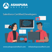 Salesforce Certified Developers