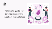 Ultimate guide for developing a white-label nft marketplace